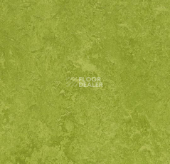 Линолеум Forbo Marmoleum Marbled Fresco 3247-324735 green фото 1 | FLOORDEALER